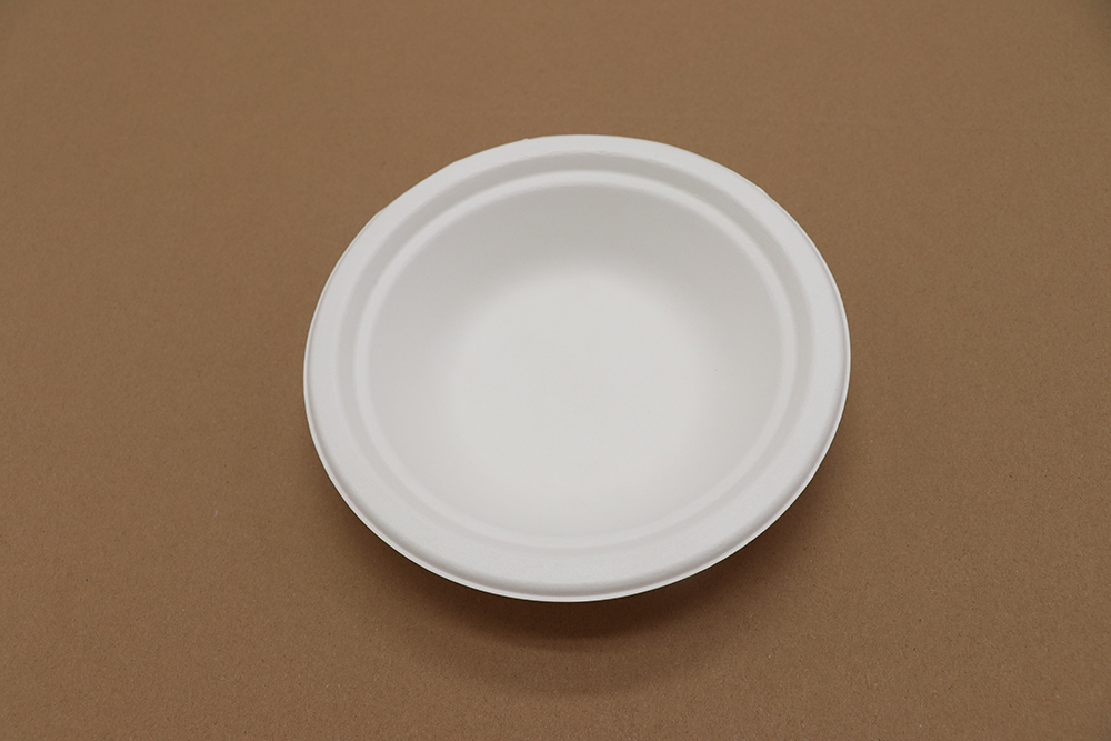 Assiette en carton 4