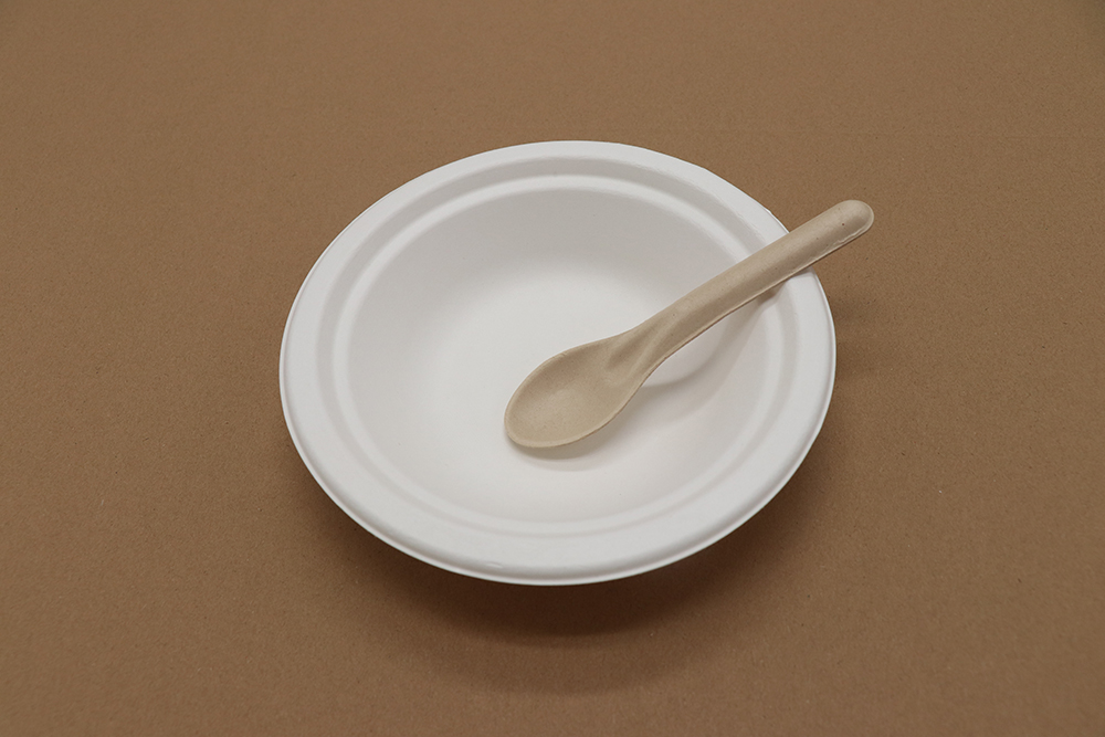 Assiette en carton 4