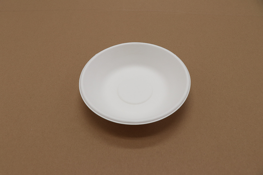 Assiette en carton 5