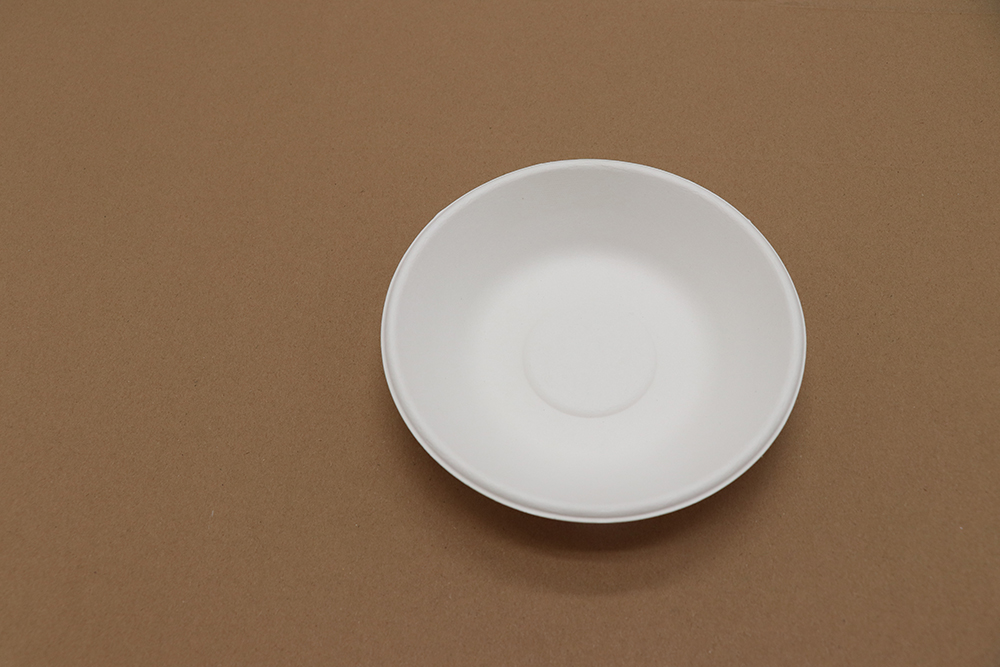 Assiette en carton 5