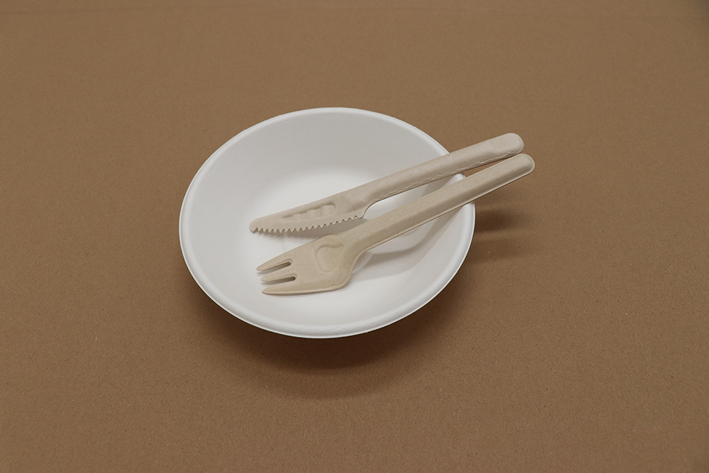 Assiette en carton 5