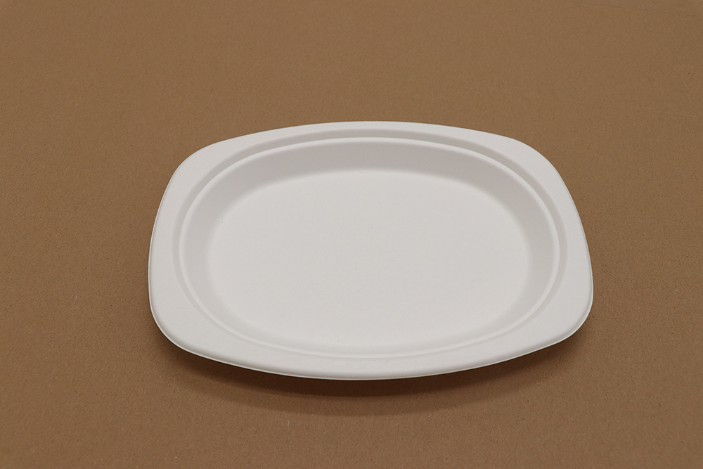 Assiette en carton 7