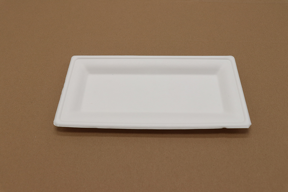 Assiette en carton 8