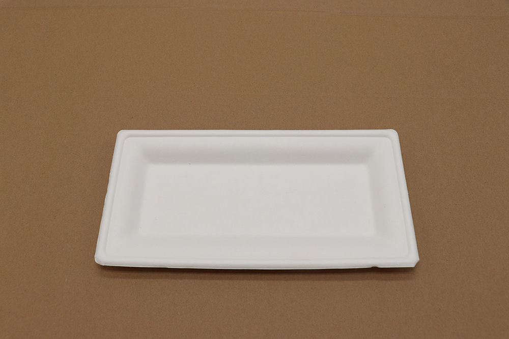 Assiette en carton 8