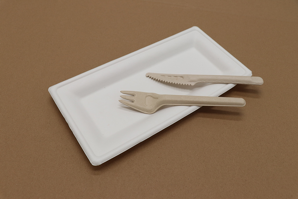 Assiette en carton 8