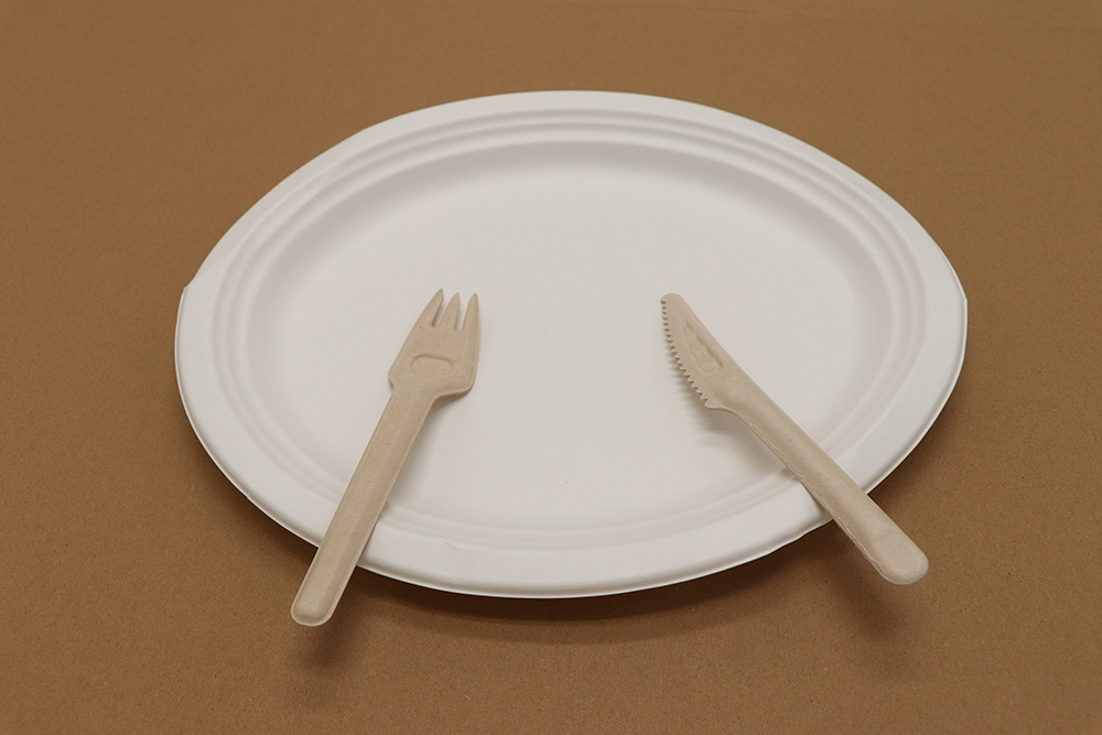 Assiette en carton 9