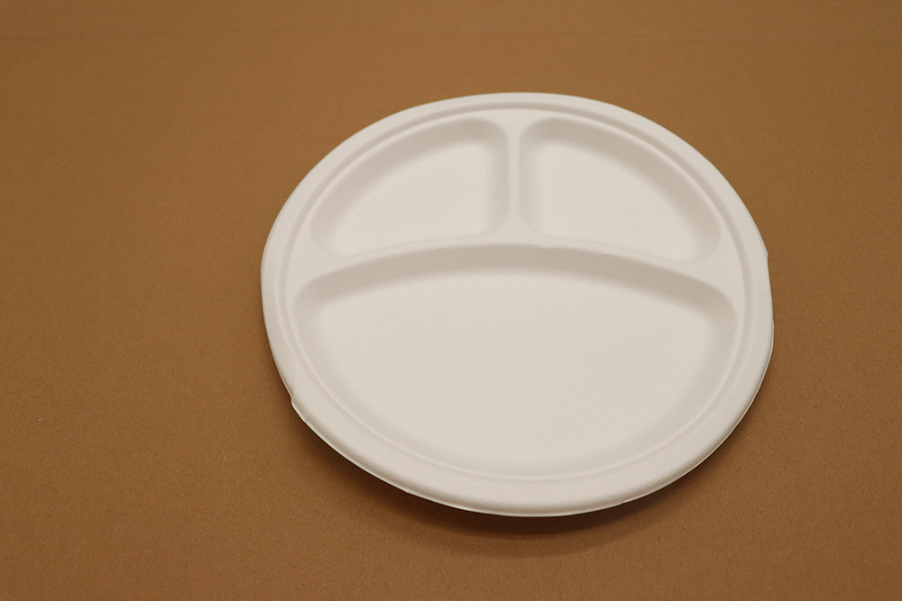 Assiette en carton 11