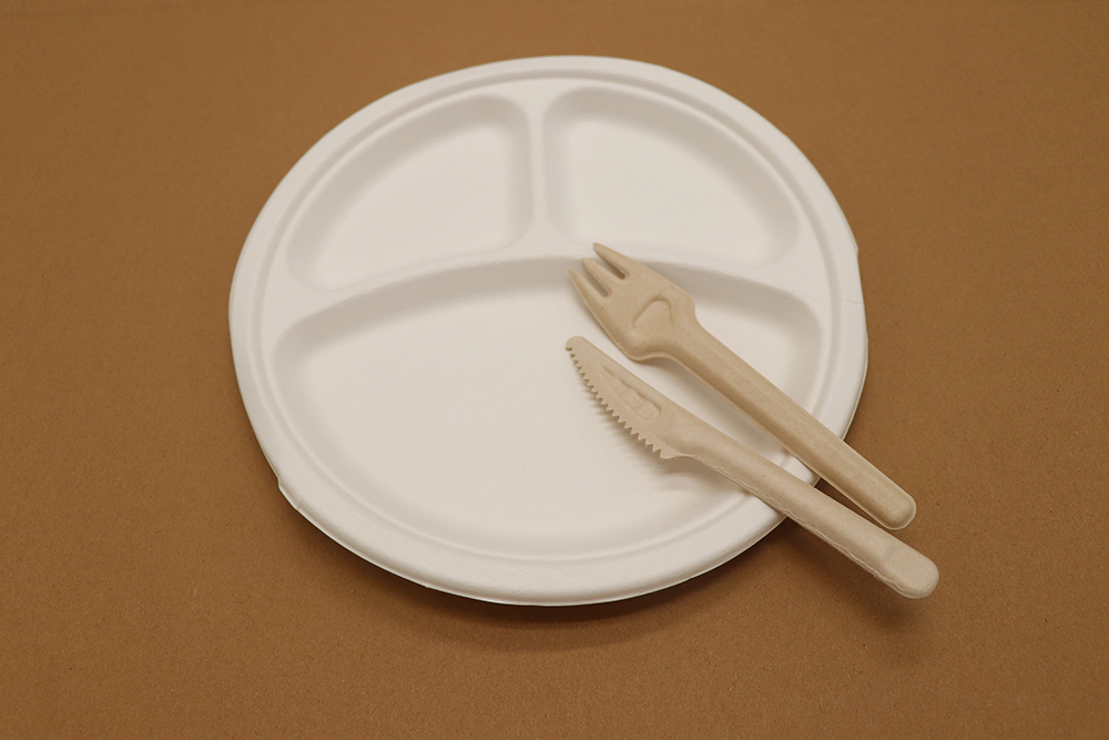 Assiette en carton 11