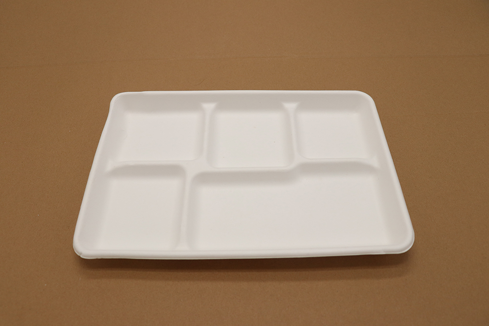 Assiette en carton 12