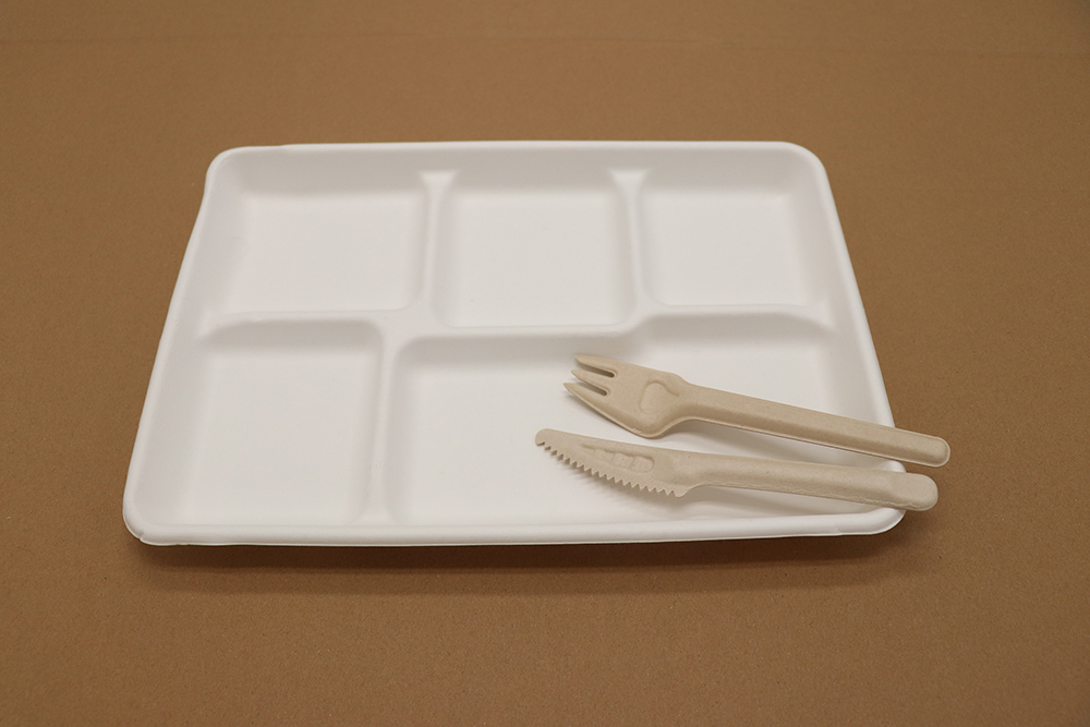 Assiette en carton 12