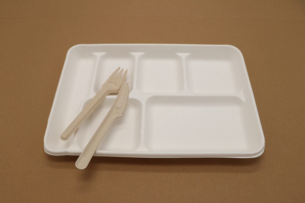 Assiette en carton 13